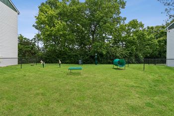 On-site dog park